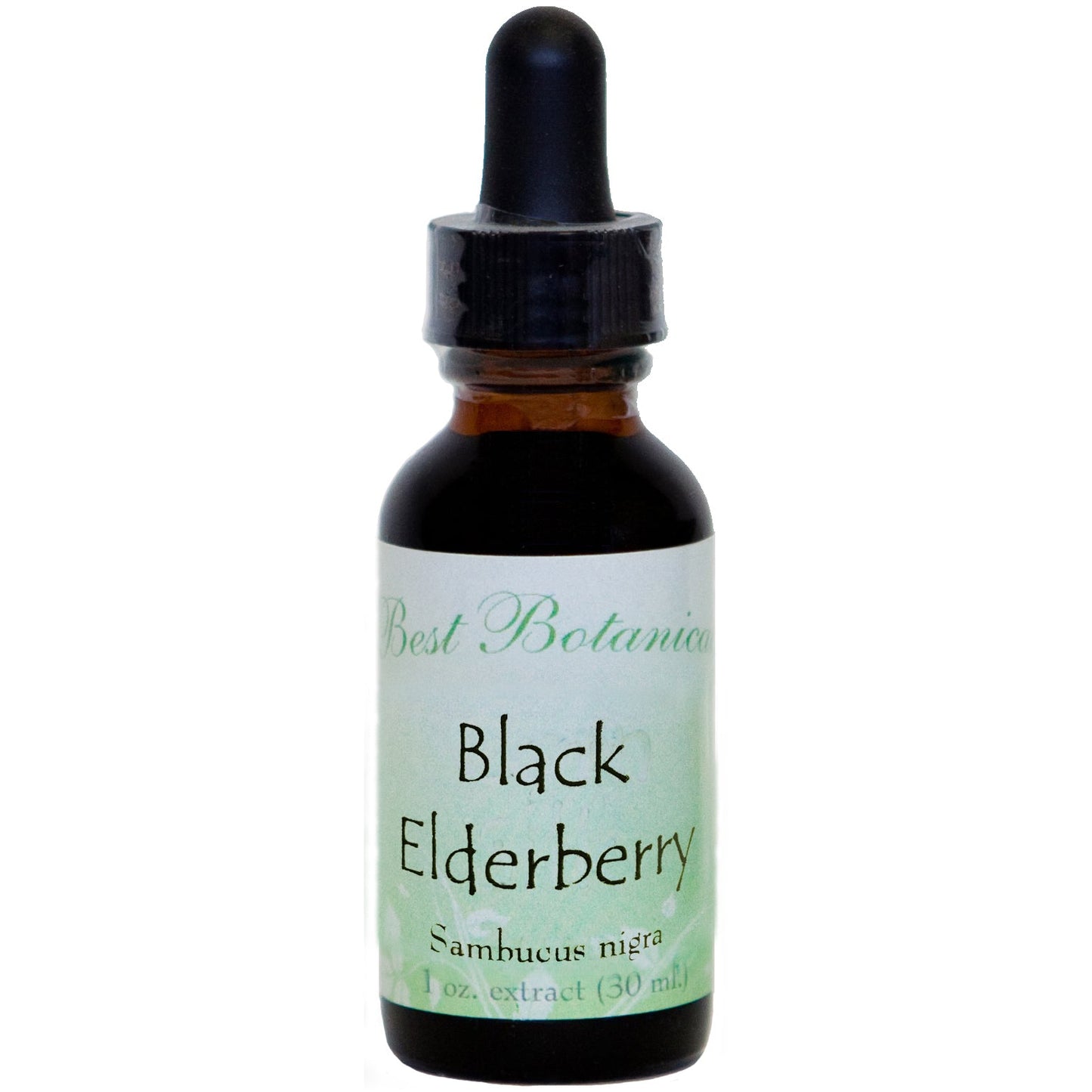 Black Elderberry Extract