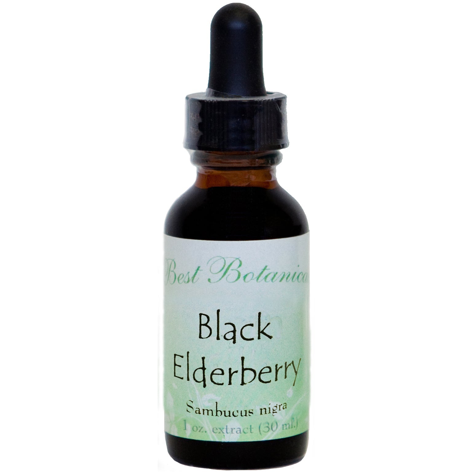 Black Elderberry Extract