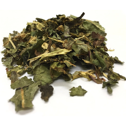 Wild Lettuce Leaf Cut